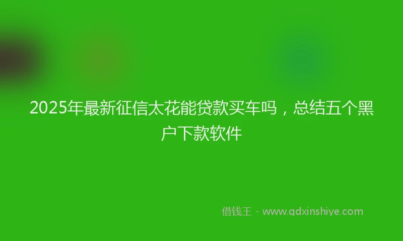 2025年最新征信太花能贷款买车吗，总结五个黑户下款软件
