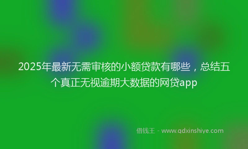 2025年最新无需审核的小额贷款有哪些，总结五个真正无视逾期大数据的网贷app