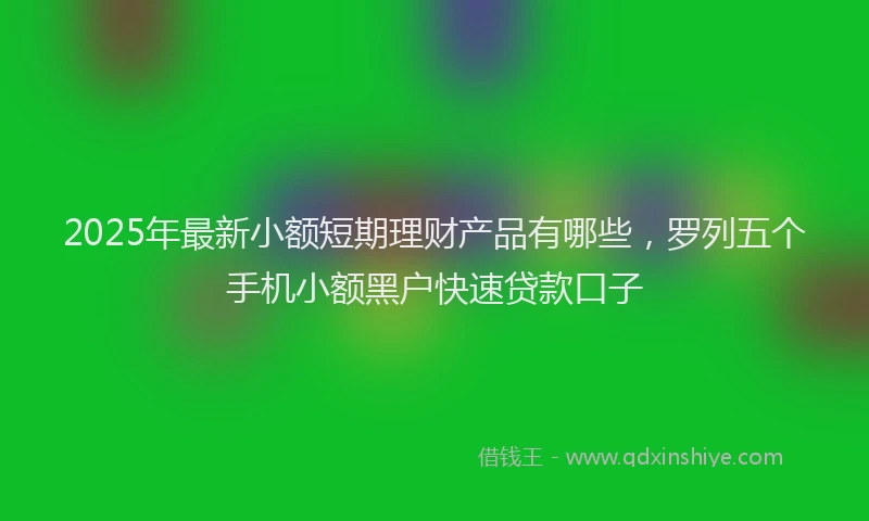 2025年最新小额短期理财产品有哪些，罗列五个手机小额黑户快速贷款口子