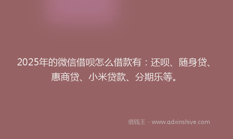 2025年的微信借呗怎么借款有：还呗、随身贷、惠商贷、小米贷款、分期乐等。