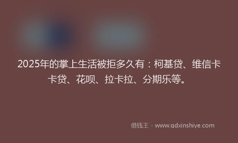 2025年的掌上生活被拒多久有：柯基贷、维信卡卡贷、花呗、拉卡拉、分期乐等。