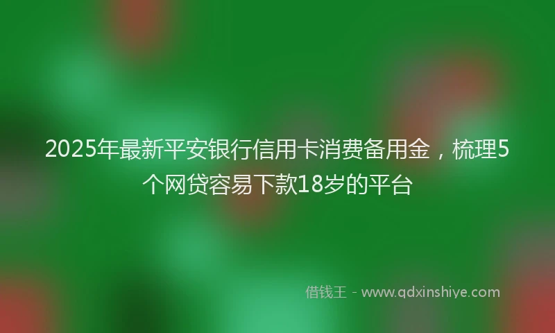 2025年最新平安银行信用卡消费备用金，梳理5个网贷容易下款18岁的平台