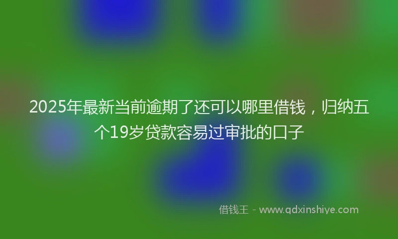 2025年最新当前逾期了还可以哪里借钱，归纳五个19岁贷款容易过审批的口子