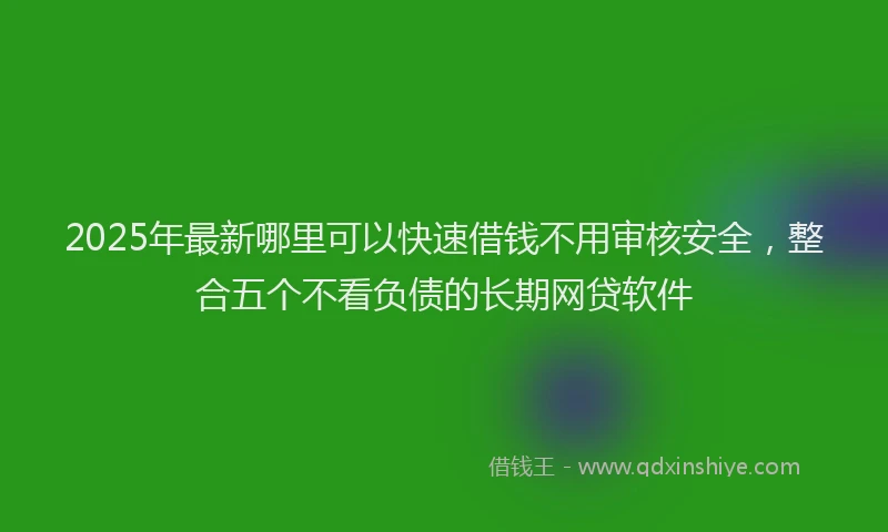 2025年最新哪里可以快速借钱不用审核安全，整合五个不看负债的长期网贷软件