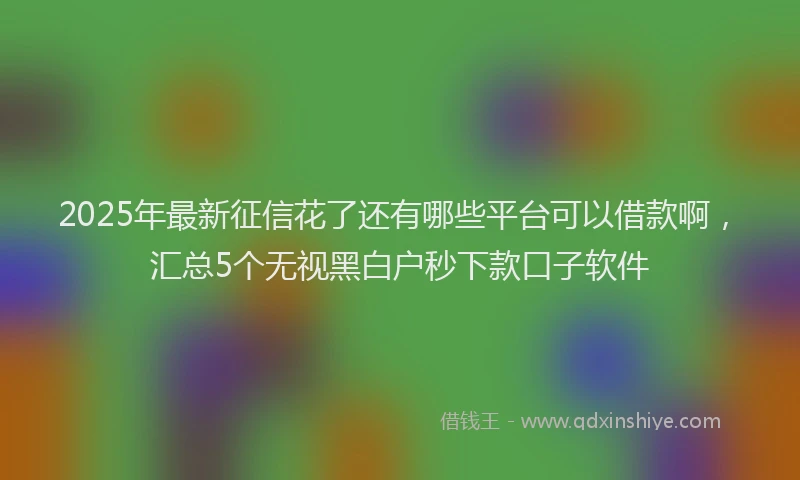 2025年最新征信花了还有哪些平台可以借款啊，汇总5个无视黑白户秒下款口子软件