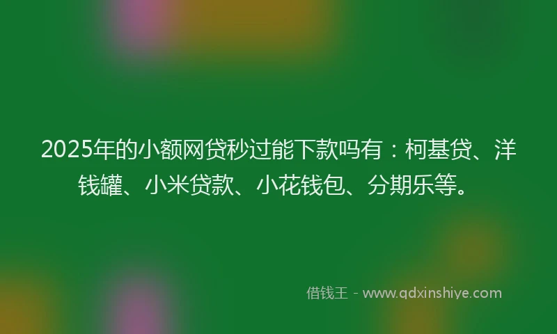 2025年的小额网贷秒过能下款吗有：柯基贷、洋钱罐、小米贷款、小花钱包、分期乐等。
