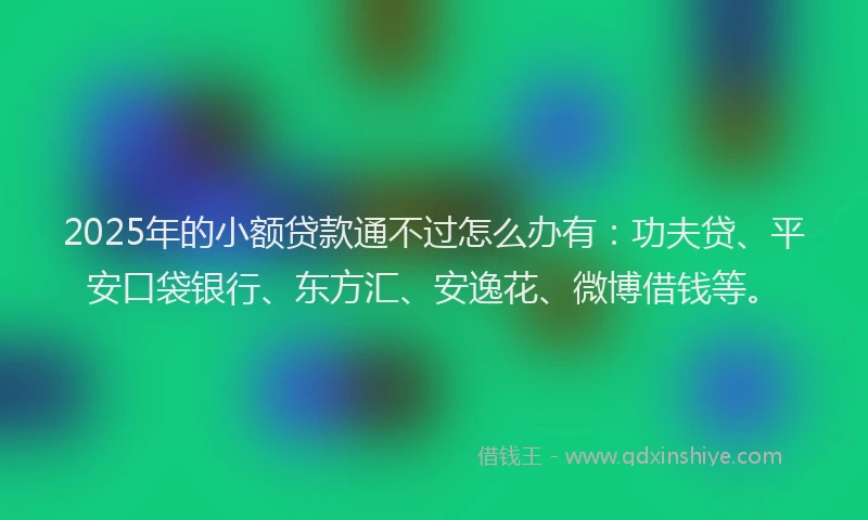 2025年的小额贷款通不过怎么办有：功夫贷、平安口袋银行、东方汇、安逸花、微博借钱等。