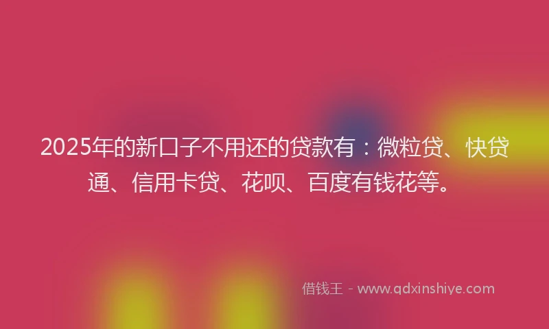 2025年的新口子不用还的贷款有：微粒贷、快贷通、信用卡贷、花呗、百度有钱花等。