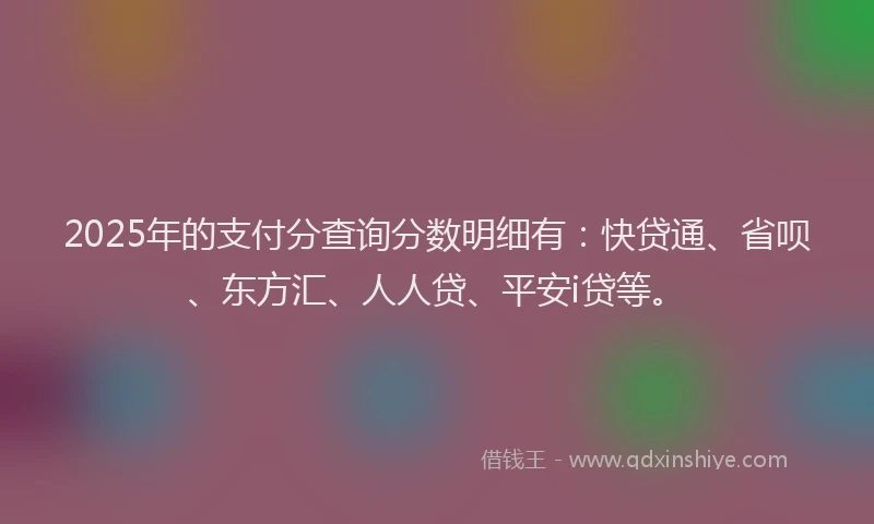 2025年的支付分查询分数明细有：快贷通、省呗、东方汇、人人贷、平安i贷等。