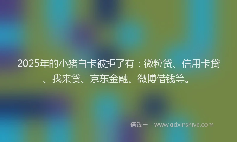 2025年的小猪白卡被拒了有：微粒贷、信用卡贷、我来贷、京东金融、微博借钱等。