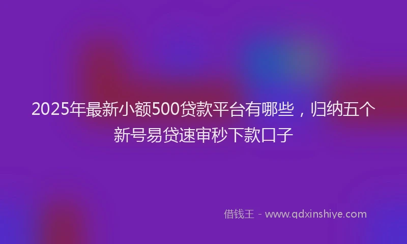 2025年最新小额500贷款平台有哪些，归纳五个新号易贷速审秒下款口子