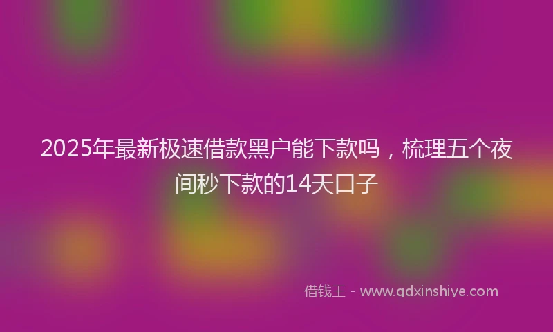 2025年最新极速借款黑户能下款吗，梳理五个夜间秒下款的14天口子