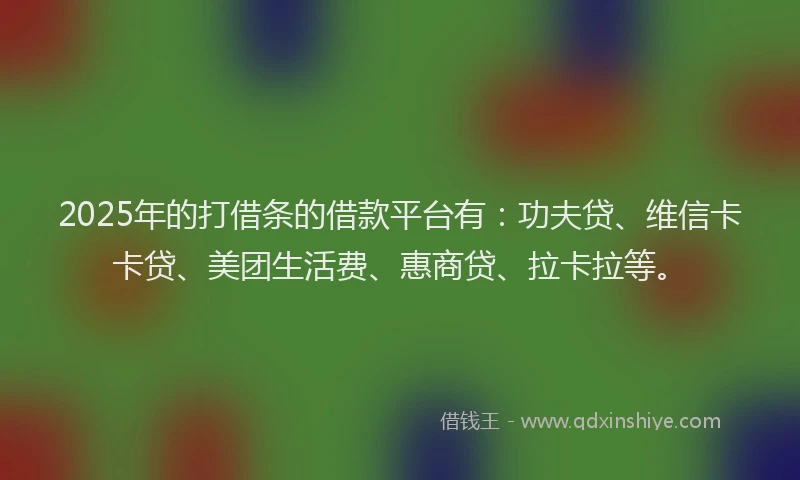 2025年的打借条的借款平台有：功夫贷、维信卡卡贷、美团生活费、惠商贷、拉卡拉等。