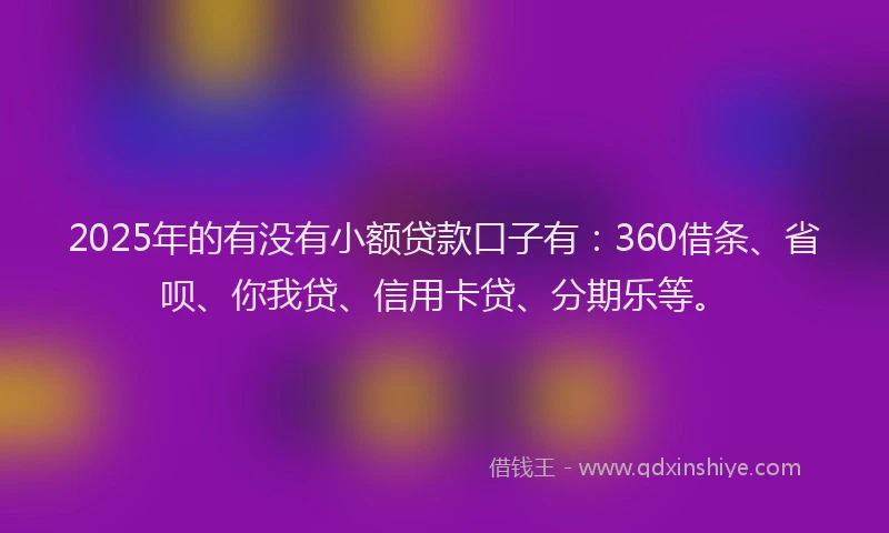 2025年的有没有小额贷款口子有：360借条、省呗、你我贷、信用卡贷、分期乐等。