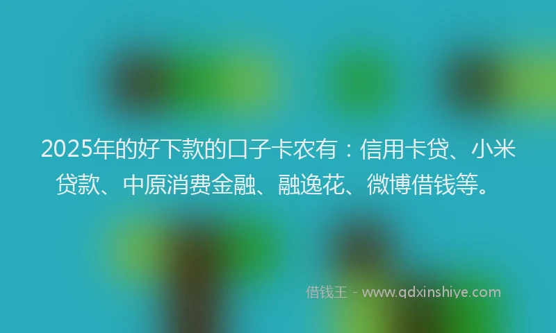 2025年的好下款的口子卡农有：信用卡贷、小米贷款、中原消费金融、融逸花、微博借钱等。
