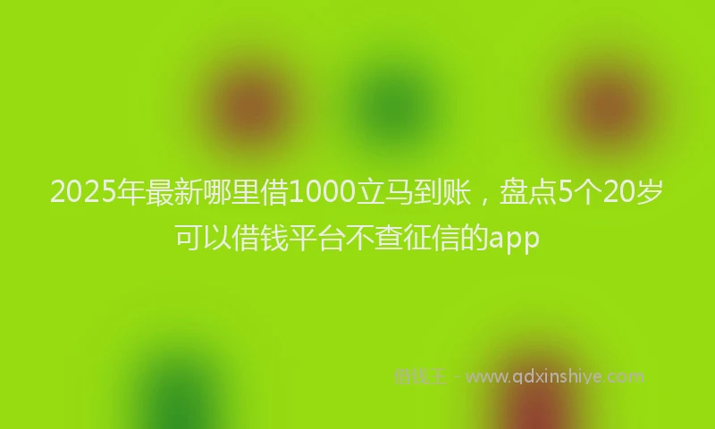 2025年最新哪里借1000立马到账，盘点5个20岁可以借钱平台不查征信的app