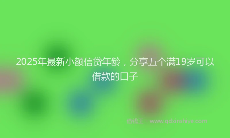 2025年最新小额信贷年龄，分享五个满19岁可以借款的口子