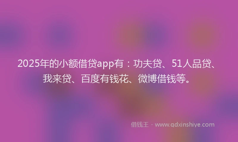 2025年的小额借贷app有：功夫贷、51人品贷、我来贷、百度有钱花、微博借钱等。