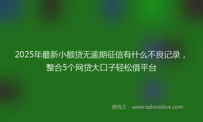 2025年最新小额贷无逾期征信有什么不良记录，整合5个网贷大口子轻松借平台