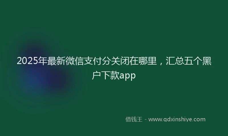 2025年最新微信支付分关闭在哪里，汇总五个黑户下款app