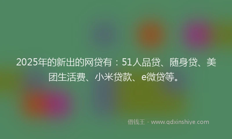 2025年的新出的网贷有：51人品贷、随身贷、美团生活费、小米贷款、e微贷等。