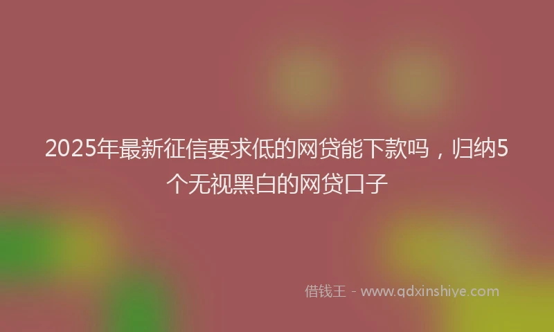 2025年最新征信要求低的网贷能下款吗，归纳5个无视黑白的网贷口子