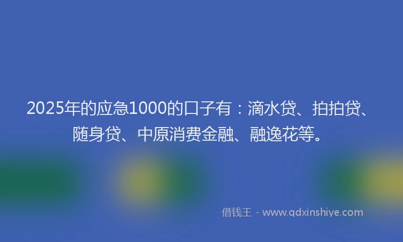 2025年的应急1000的口子有：滴水贷、拍拍贷、随身贷、中原消费金融、融逸花等。