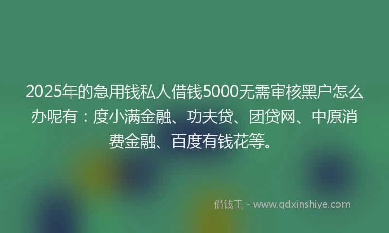 2025年的急用钱私人借钱5000无需审核黑户怎么办呢有：度小满金融、功夫贷、团贷网、中原消费金融、百度有钱花等。