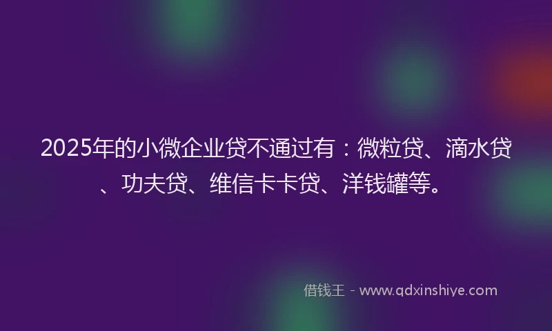 2025年的小微企业贷不通过有：微粒贷、滴水贷、功夫贷、维信卡卡贷、洋钱罐等。