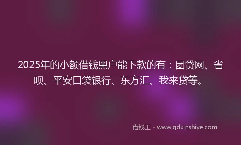 2025年的小额借钱黑户能下款的有：团贷网、省呗、平安口袋银行、东方汇、我来贷等。