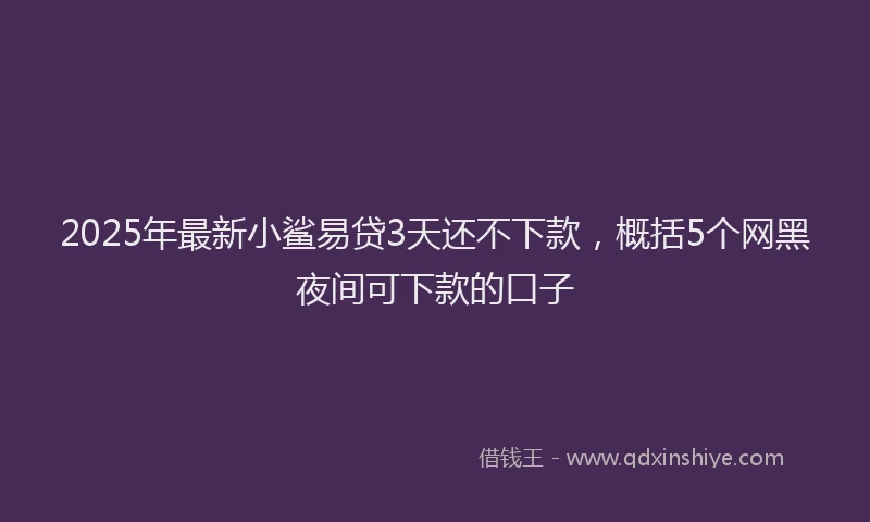 2025年最新小鲨易贷3天还不下款，概括5个网黑夜间可下款的口子