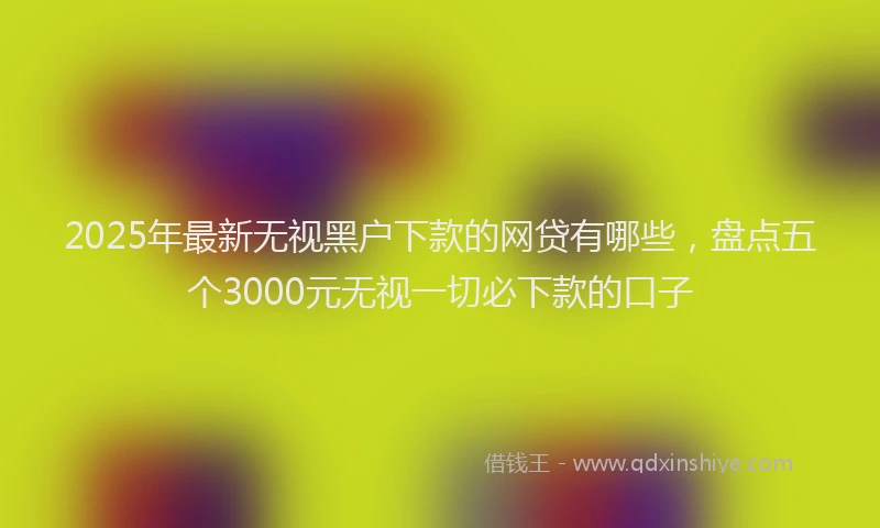 2025年最新无视黑户下款的网贷有哪些，盘点五个3000元无视一切必下款的口子