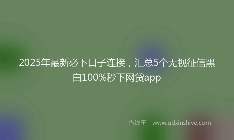 2025年最新必下口子连接，汇总5个无视征信黑白100%秒下网贷app