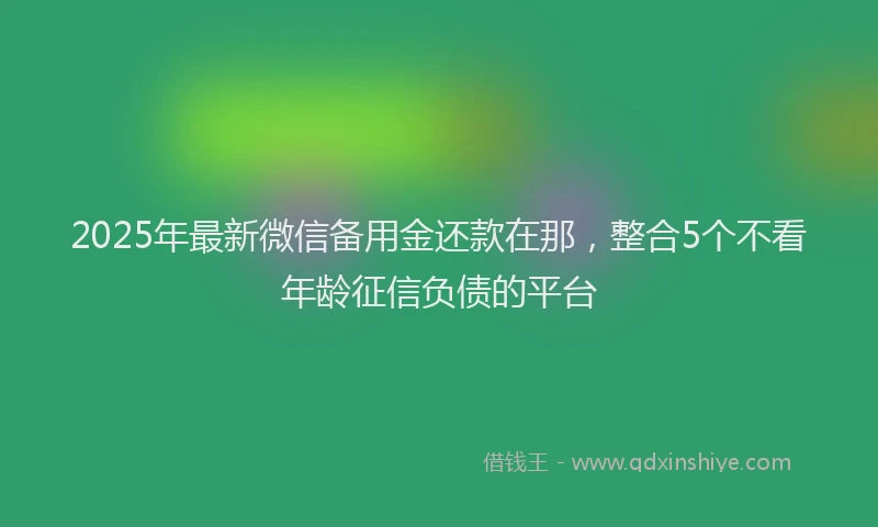 2025年最新微信备用金还款在那，整合5个不看年龄征信负债的平台