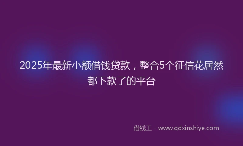 2025年最新小额借钱贷款，整合5个征信花居然都下款了的平台