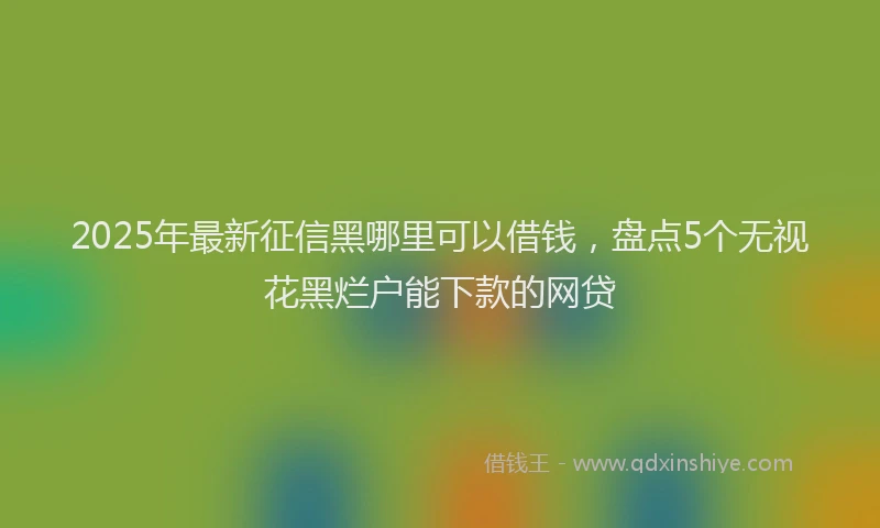 2025年最新征信黑哪里可以借钱，盘点5个无视花黑烂户能下款的网贷