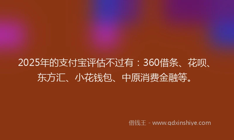 2025年的支付宝评估不过有：360借条、花呗、东方汇、小花钱包、中原消费金融等。