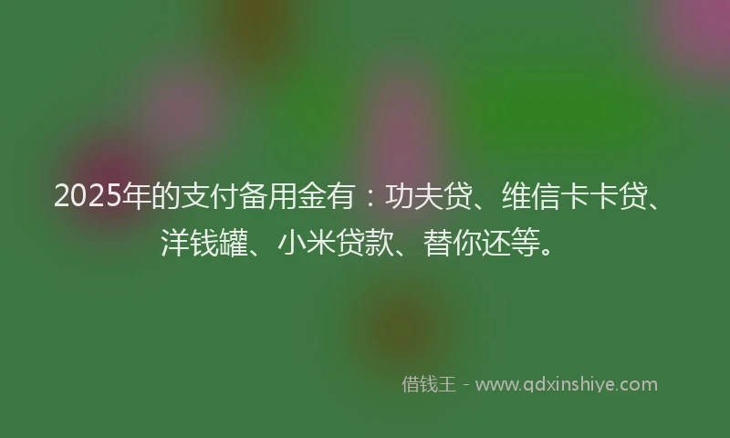 2025年的支付备用金有：功夫贷、维信卡卡贷、洋钱罐、小米贷款、替你还等。