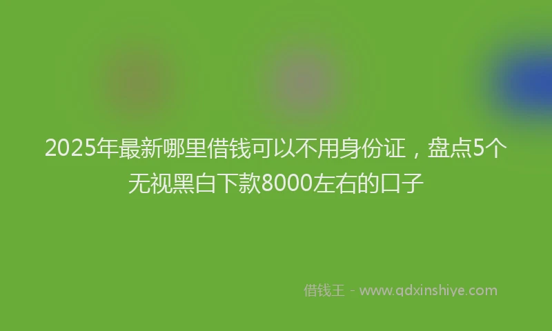 2025年最新哪里借钱可以不用身份证，盘点5个无视黑白下款8000左右的口子