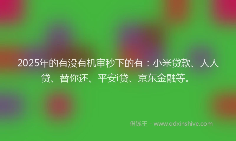2025年的有没有机审秒下的有：小米贷款、人人贷、替你还、平安i贷、京东金融等。