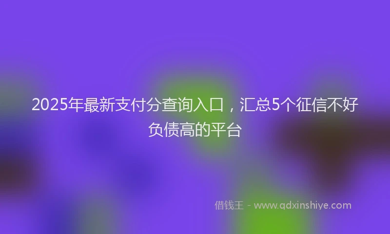 2025年最新支付分查询入口，汇总5个征信不好负债高的平台