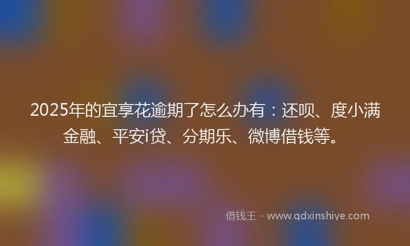 2025年的宜享花逾期了怎么办有：还呗、度小满金融、平安i贷、分期乐、微博借钱等。