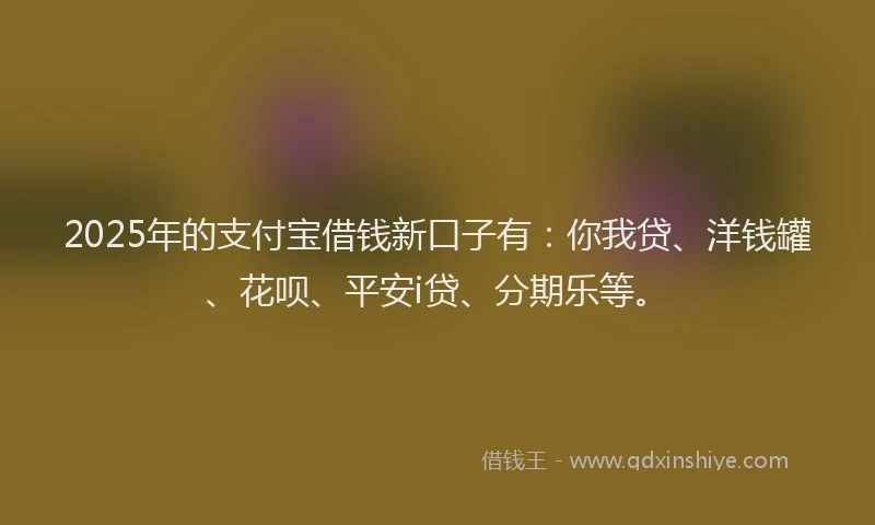 2025年的支付宝借钱新口子有：你我贷、洋钱罐、花呗、平安i贷、分期乐等。