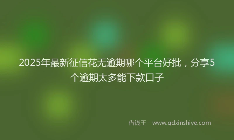 2025年最新征信花无逾期哪个平台好批，分享5个逾期太多能下款口子