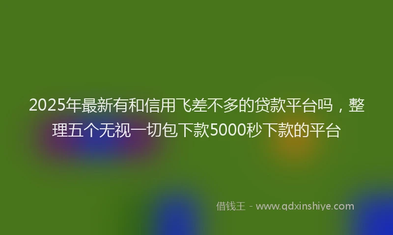 2025年最新有和信用飞差不多的贷款平台吗，整理五个无视一切包下款5000秒下款的平台