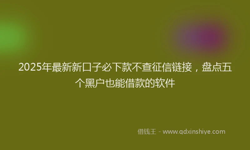 2025年最新新口子必下款不查征信链接，盘点五个黑户也能借款的软件