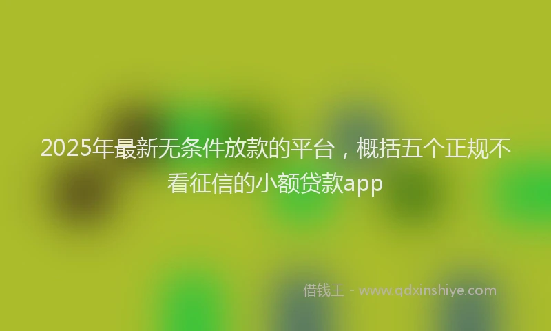 2025年最新无条件放款的平台，概括五个正规不看征信的小额贷款app
