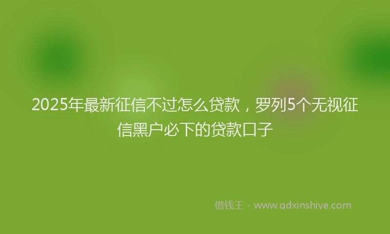2025年最新征信不过怎么贷款，罗列5个无视征信黑户必下的贷款口子