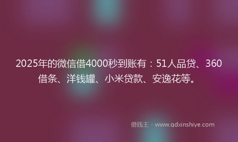 2025年的微信借4000秒到账有：51人品贷、360借条、洋钱罐、小米贷款、安逸花等。