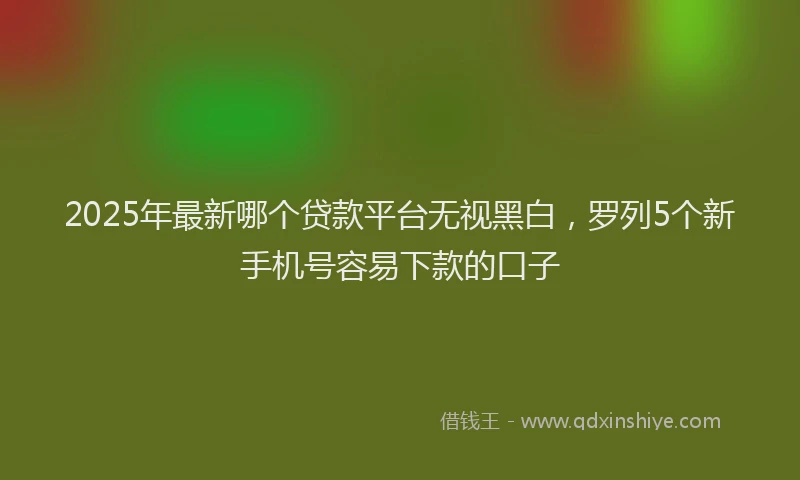 2025年最新哪个贷款平台无视黑白，罗列5个新手机号容易下款的口子